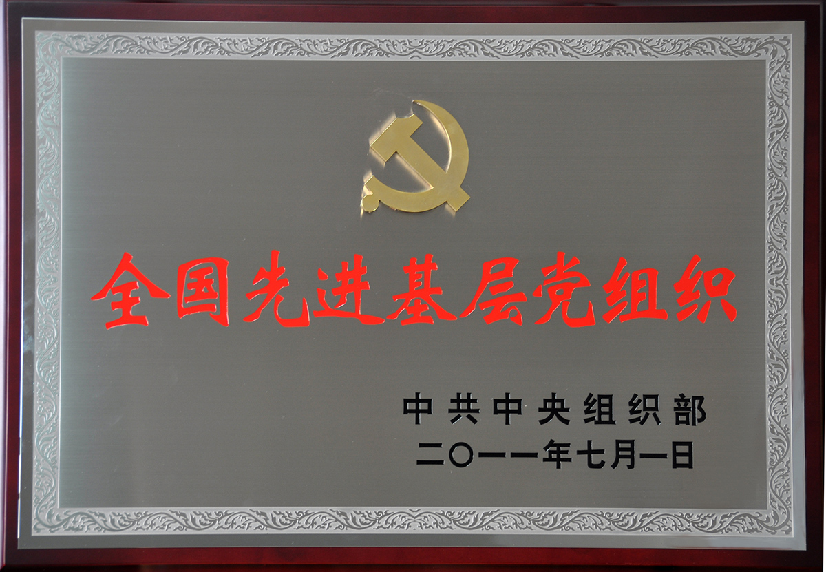 2011年7月，抖圈- 为du而生集团党委荣获“全国先进基层党组织”称号